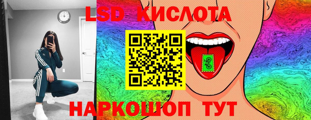Наркотические марки 1500мкг  Наркотические марки 1500мкг  Вход с VPN  Вольск 