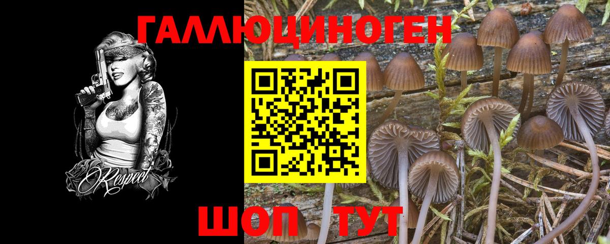 Вольск  Галлюциногенные грибы GOLDEN TEACHER  Галлюциногенные грибы GOLDEN TEACHER  Вход с VPN 