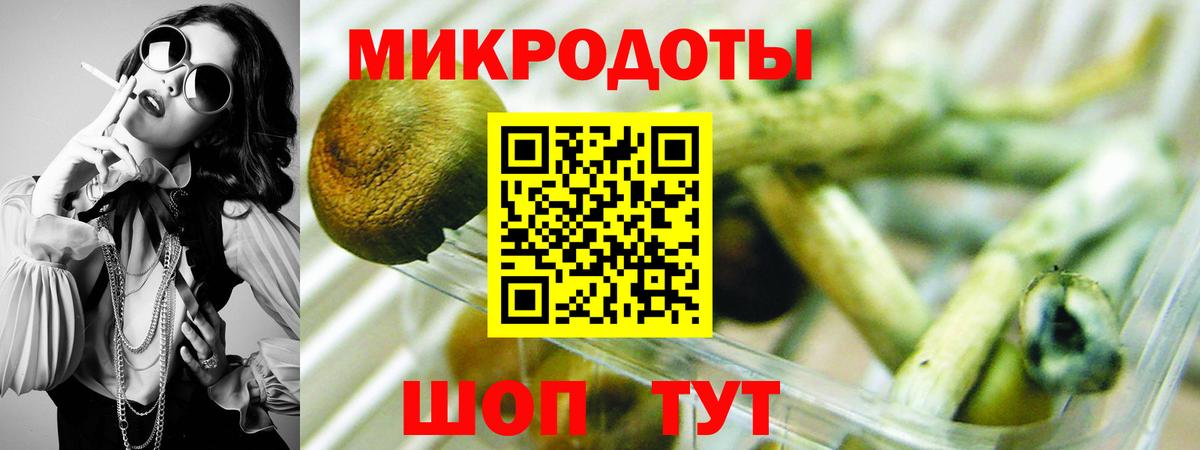 Галлюциногенные грибы Magic Shrooms Вольск